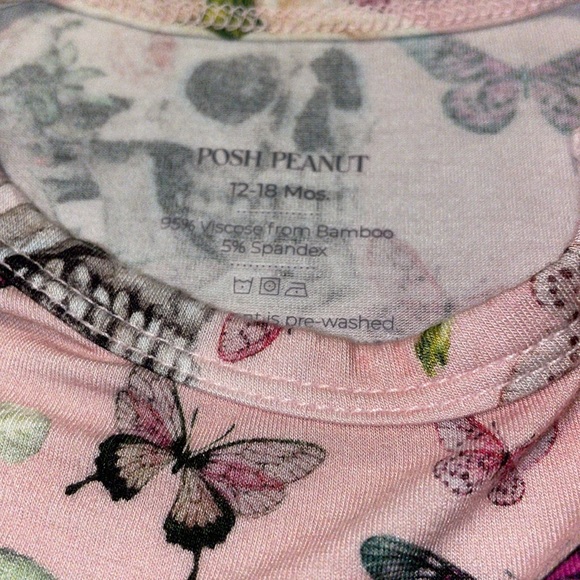 12/18 RARE Posh Peanut Francesca Skull Butterflies Roses Pumpkin BEAUTIFUL!!! - Picture 10 of 15